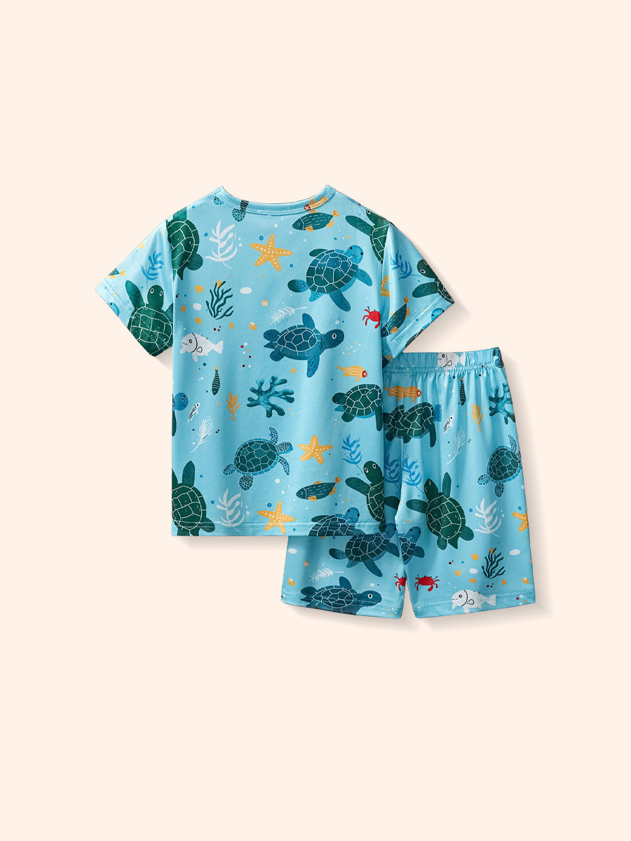 Ocean Explorer Blue Turtle Tee & Shorts Set for Boys 2-9 Years