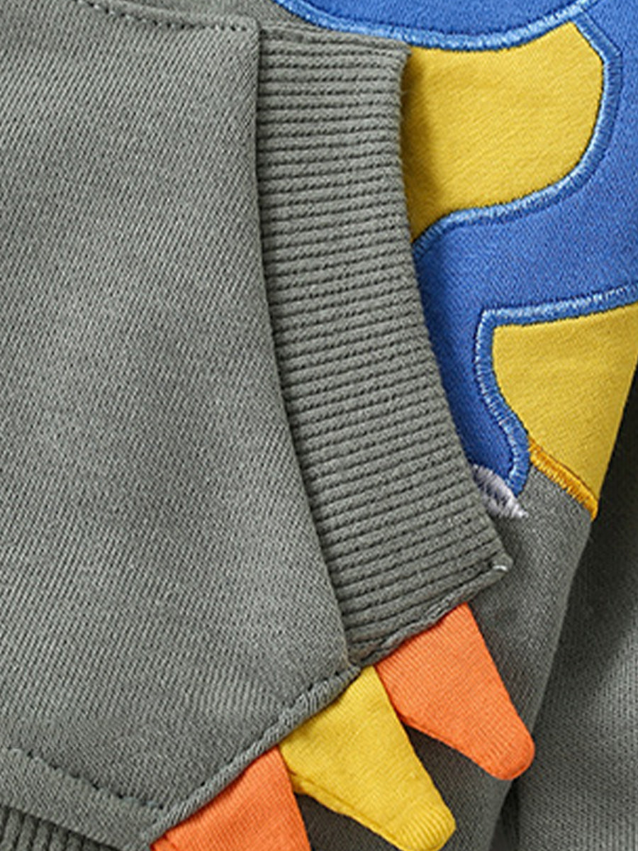 Roar-some Dino Grey Appliqué Zip-Up Hoodie for Boys 2-9 Years